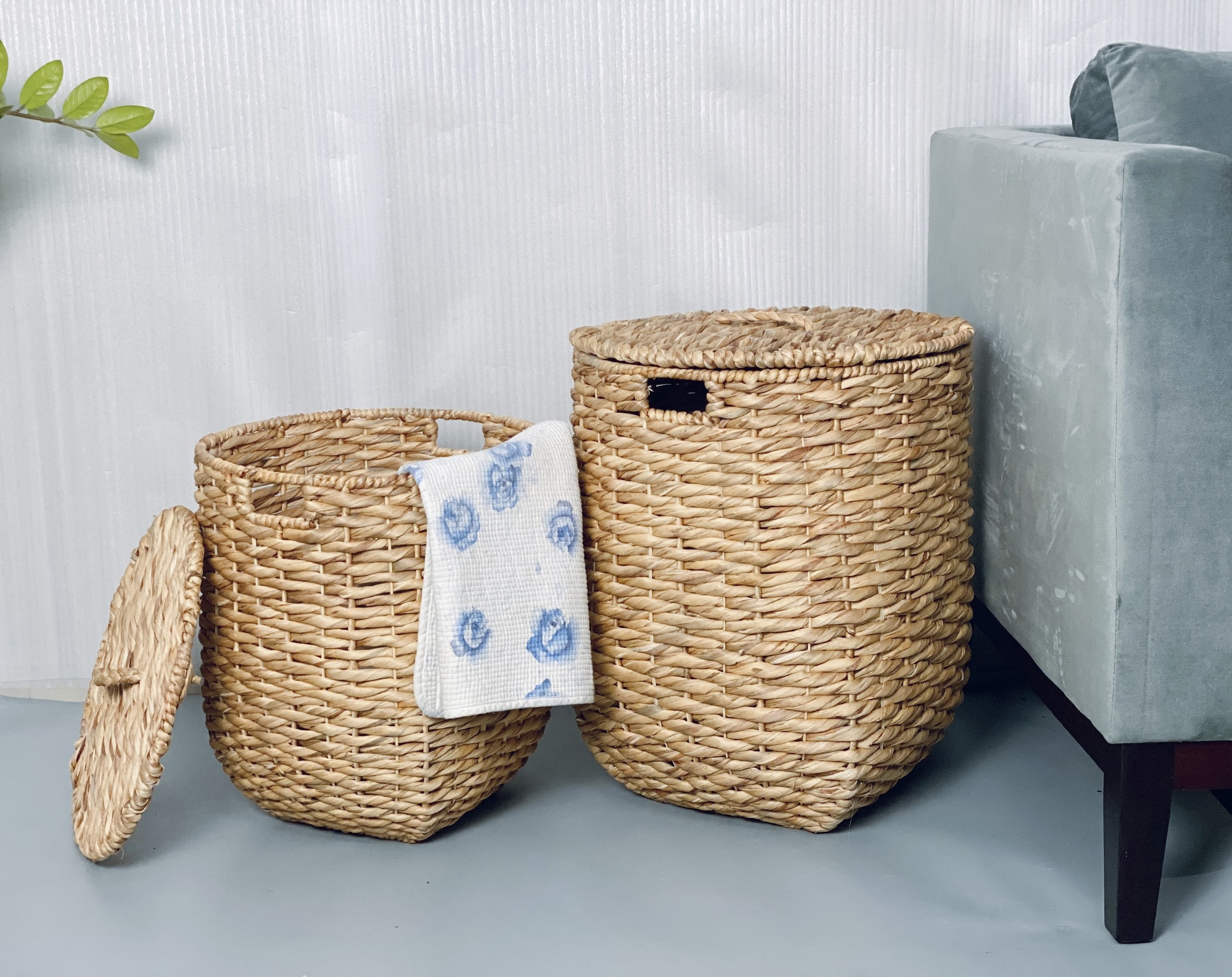 Round hyacinth laundry