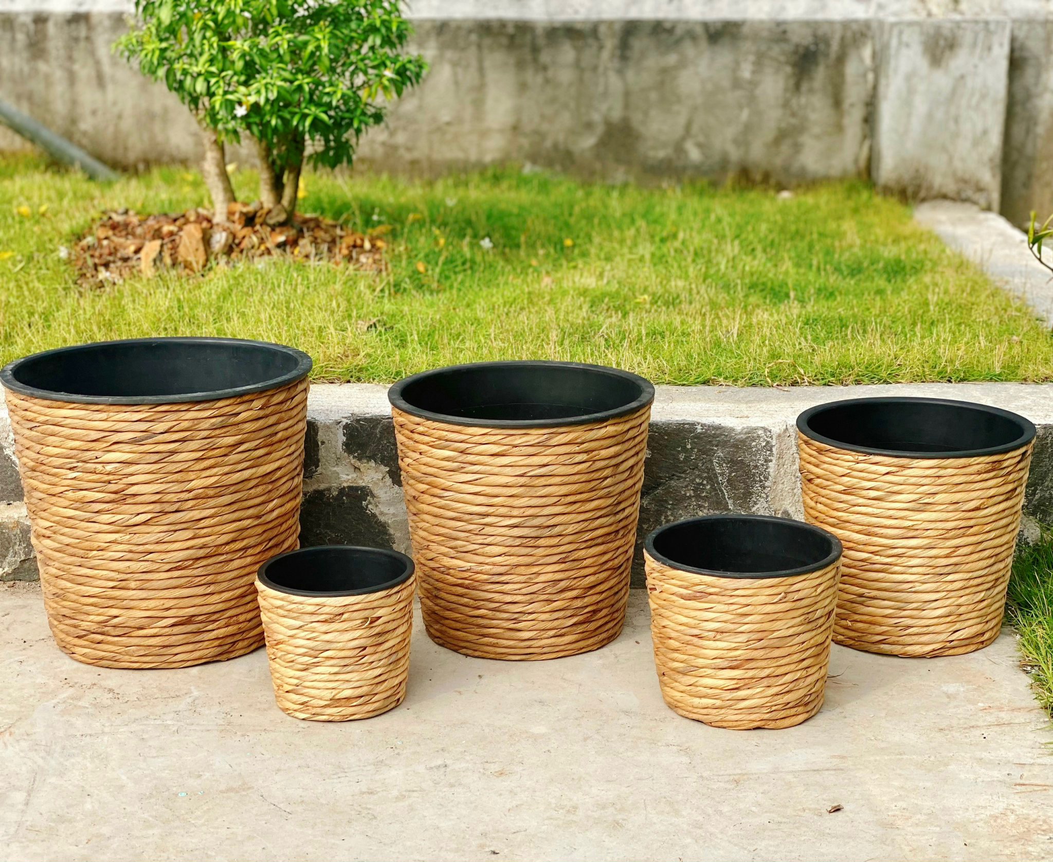 Set of 5 Hyacinth Planter