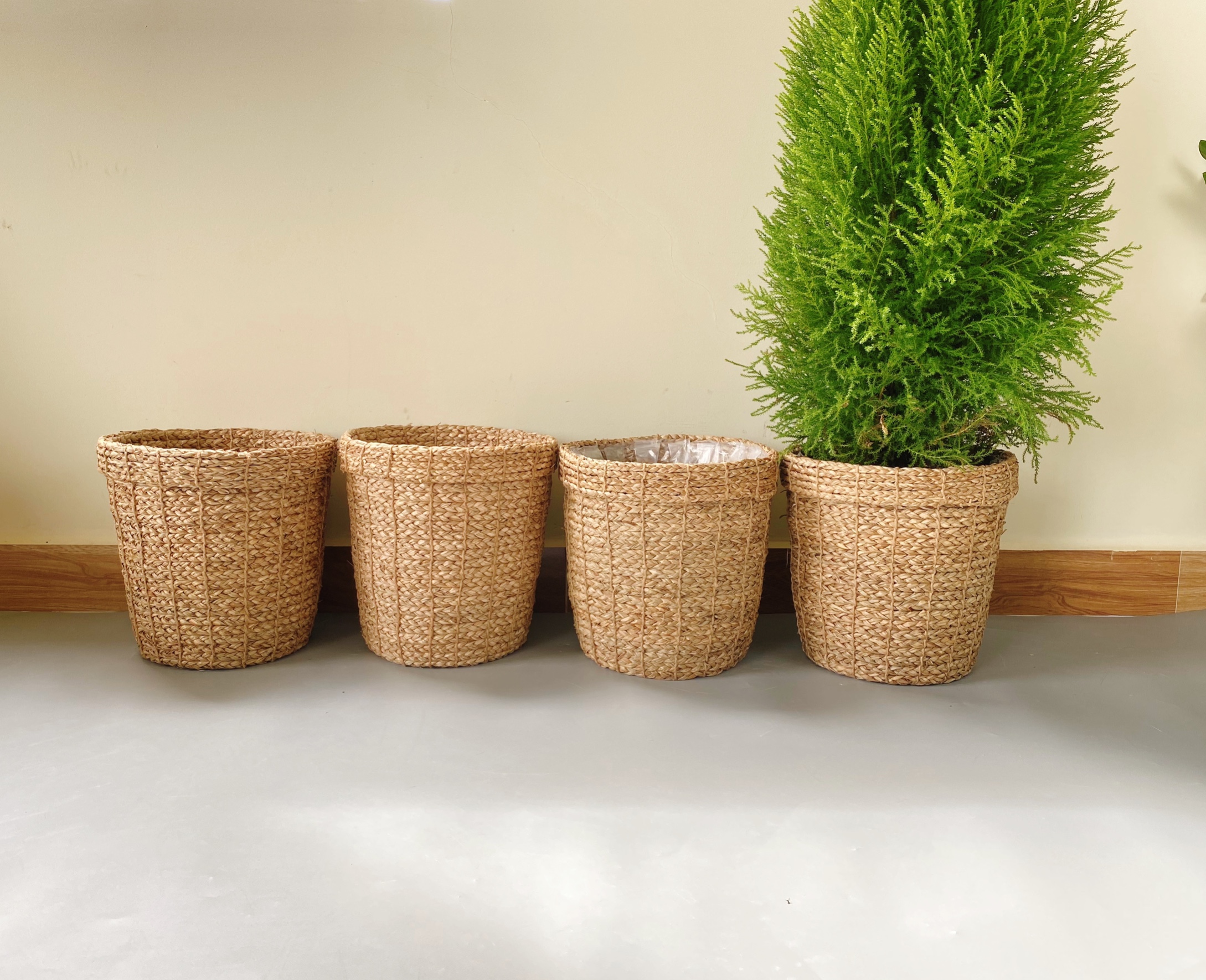 Seagrass Planter 